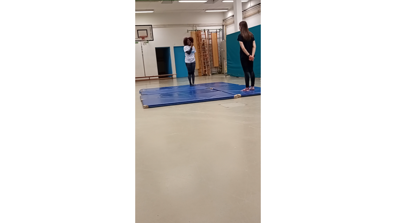 FENIX sessie staand